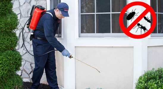 Çandarlı Akrep İlaçlama böcek ilaçlama ve haşere kontrolü — ilaclama-tr.com